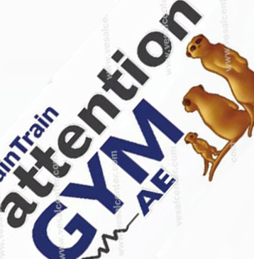 نرم افزار Attention Gym