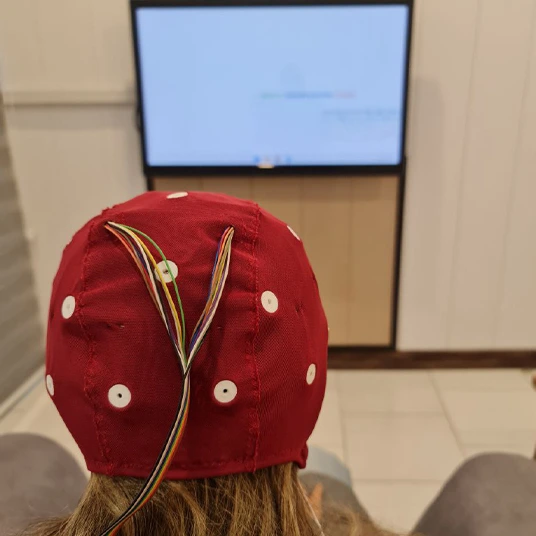 شناسایی حالتهای هیجانی غم، شادی و ترس از طریق EEG