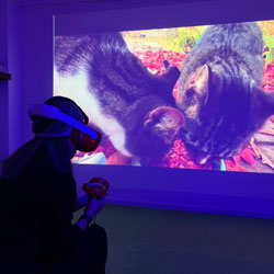 درمان فوبیای گربه با واقعیت مجازی VR